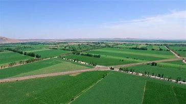 灌区信息化管理系统